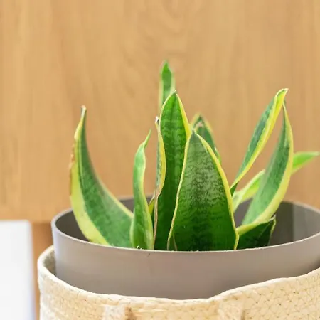 Enparan - Baskeyrentals Apartamento